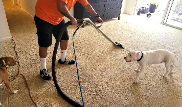 Technician steam cleaning a carpet in a customer's home